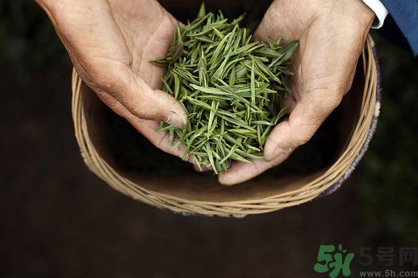 吃魚(yú)的時(shí)候能喝茶嗎？吃魚(yú)可以喝茶嗎？