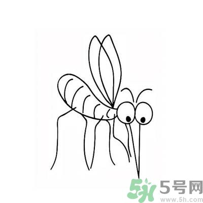 夏天家中有蒼蠅怎么辦？夏天如何滅蒼蠅？