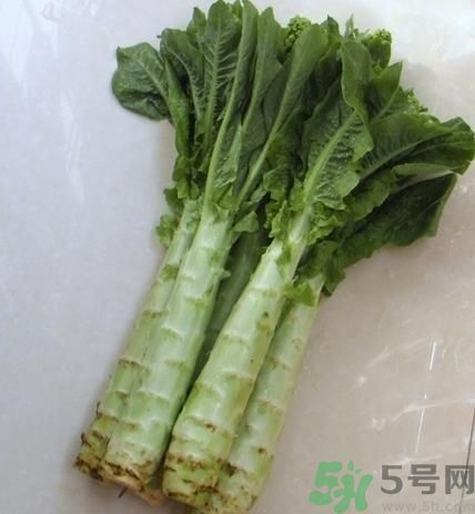 筍子是不是發(fā)物？筍子是發(fā)物嗎？