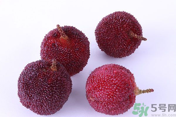 楊梅里面有小蟲怎么洗？楊梅里的蟲子怎么弄出來？