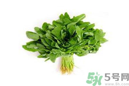 莧菜可以生吃嗎？莧菜生吃了會(huì)怎樣？