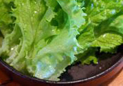 生菜是發(fā)物嗎?生菜是不是發(fā)物?
