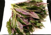 高血壓可以吃莧菜嗎？吃莧菜可以降血壓嗎？