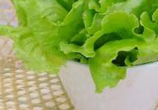生菜怎么清洗?生菜怎么洗干凈?