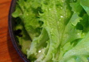 生菜可以生吃嗎?生菜能生吃嗎?