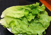 生菜可以涼拌嗎?生菜能涼拌嗎?