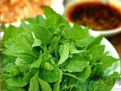 薄荷有什么功效？薄荷的攻效是什么？