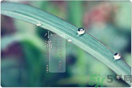 小滿容易得什么皮膚?。啃M得了皮膚病怎么辦？