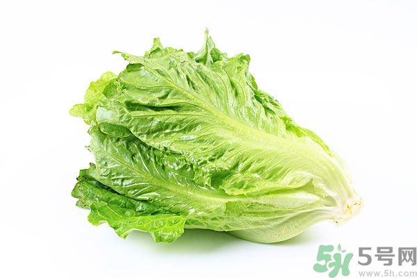 生菜在冰箱放久了能吃嗎？如何分辨生菜新不新鮮？