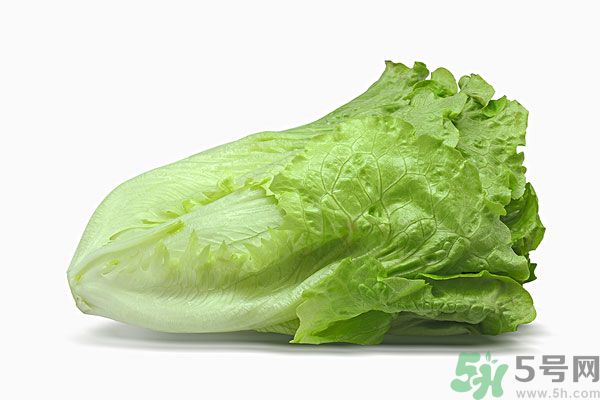 生菜在冰箱放久了能吃嗎？如何分辨生菜新不新鮮？