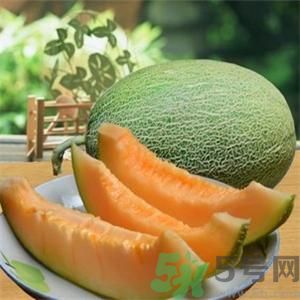 吃哈密瓜可以喝可樂嗎？喝可樂可以吃哈密瓜嗎？