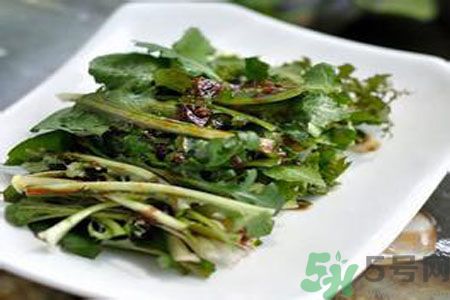 寶寶可以吃苦菜嗎？寶寶多大可以吃苦菜？