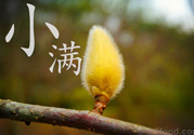 小滿名字的由來？小滿是什么意思？