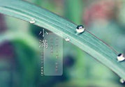 為什么小滿濕氣重？小滿怎么除濕氣？