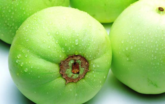 甜瓜可以放幾天？甜瓜可以保存幾天才會(huì)壞？