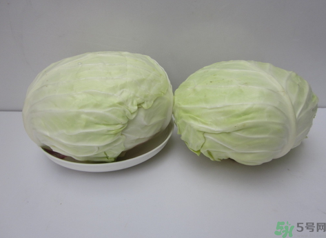 包菜榨汁要加水嗎？包菜汁怎么做？