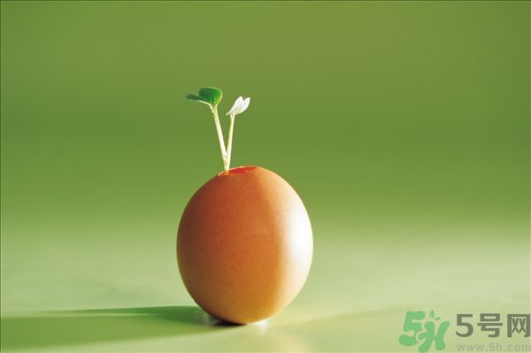 生菜和雞蛋能一起吃嗎？生菜和雞蛋一起怎么做？