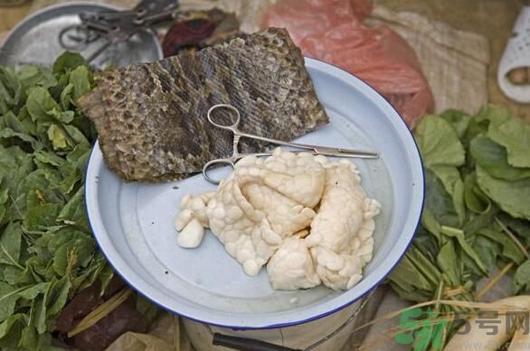 夏天吃蛇肉可以清火嗎？夏天吃蛇肉可以降火嗎？