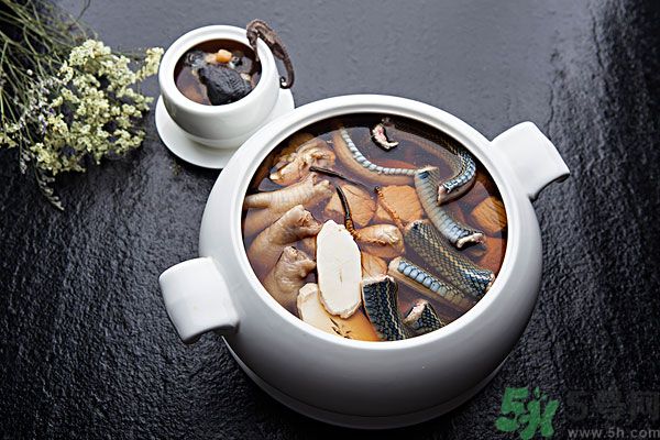 蛇肉是涼性嗎？蛇肉是涼性還是熱性？