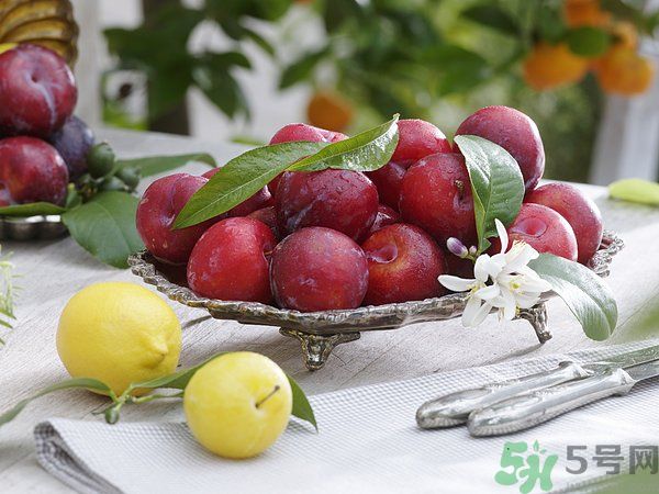 為什么說李子樹下埋死人？李子的食用禁忌有哪些？