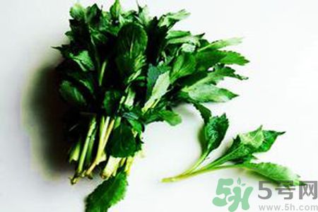 苦菜可以和蔥一起吃嗎？苦菜和蔥一起吃會(huì)怎樣？