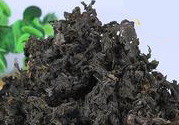 地皮菜是寒性的食物嗎?地皮菜是性寒的嗎?