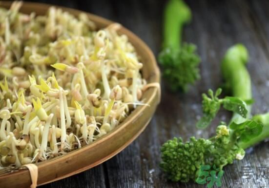 怎樣自己發(fā)綠豆芽？綠豆芽怎樣自己發(fā)？