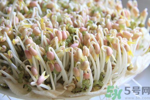 吃毛豆可以減肥嗎？吃毛豆有減肥作用嗎？