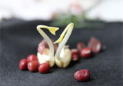 紅豆可以發(fā)豆芽嗎？紅豆芽可以吃嗎？