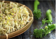 怎樣自己發(fā)綠豆芽？綠豆芽怎樣自己發(fā)？
