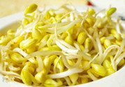 黃豆發(fā)芽了還能吃嗎?發(fā)芽的黃豆怎么處理