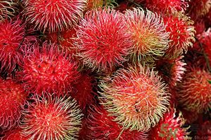 吃紅毛丹上火嗎？吃紅毛丹上火怎么辦？