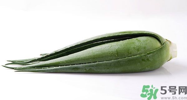 經(jīng)期可以吃蘆薈嗎？經(jīng)期吃蘆薈會肚子痛嗎？