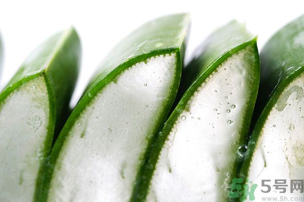孕婦可以吃蘆薈嗎？孕婦吃蘆薈會怎樣？