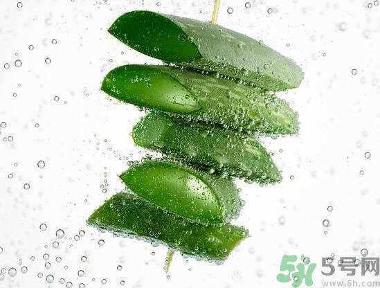 夏天吃蘆薈可以降火嗎？夏天吃蘆薈能清火嗎？
