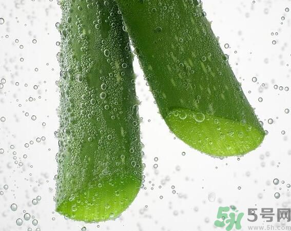 夏天吃蘆薈可以降火嗎？夏天吃蘆薈能清火嗎？