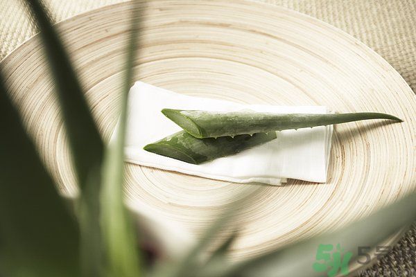 蘆薈是發(fā)物嗎？蘆薈是不是發(fā)物？