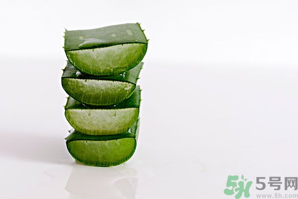 蘆薈是發(fā)物嗎？蘆薈是不是發(fā)物？