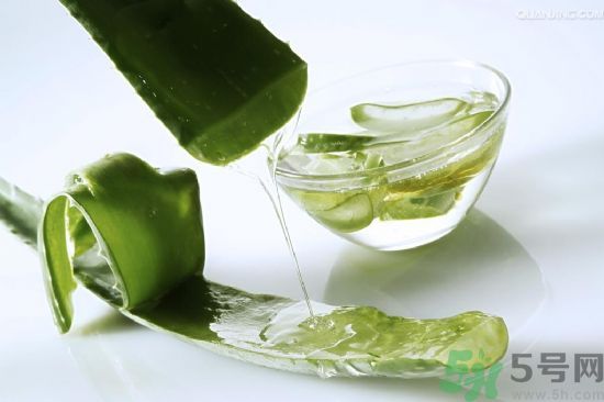 蘆薈的皮可以吃嗎？吃蘆薈要不要削皮？