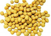 黃豆和雞蛋能一起吃嗎?黃豆和雞蛋相克嗎