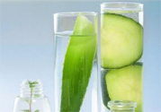 蘆薈酒有什么功效？蘆薈酒的功效是什么？