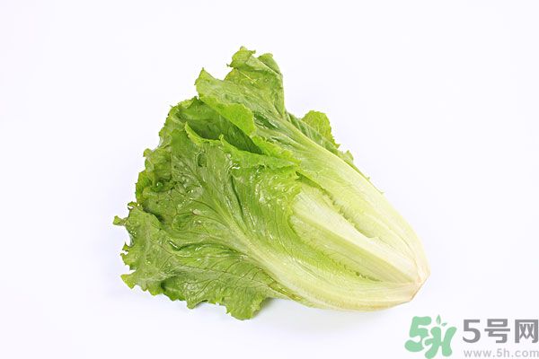 小孩可以吃生菜嗎？小孩吃生菜好嗎？