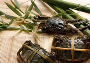 粽子和螃蟹能一起吃嗎?總系和螃蟹一起吃好嗎