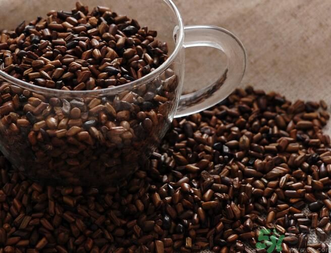 決明子泡茶喝可以減肥嗎？決明子泡茶喝有減肥效果嗎？
