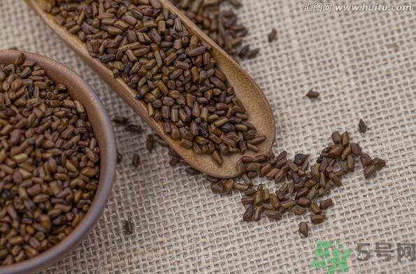 孕婦可以喝決明子茶通便嗎？孕婦通便可以喝決明子茶嗎？