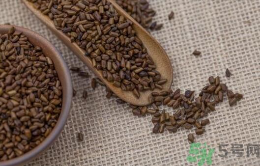 決明子泡茶加什么好？決明子和什么一起泡好？