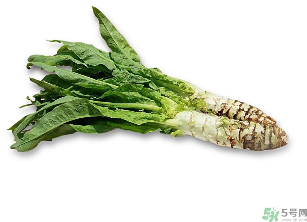 新鮮的萵筍怎么保存？削皮的萵筍怎么保存？