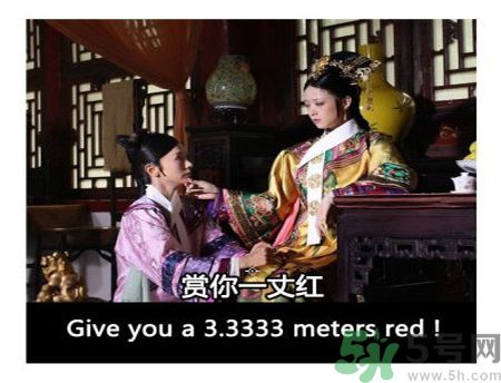 什么是蜀葵？蜀葵是一丈紅嗎？