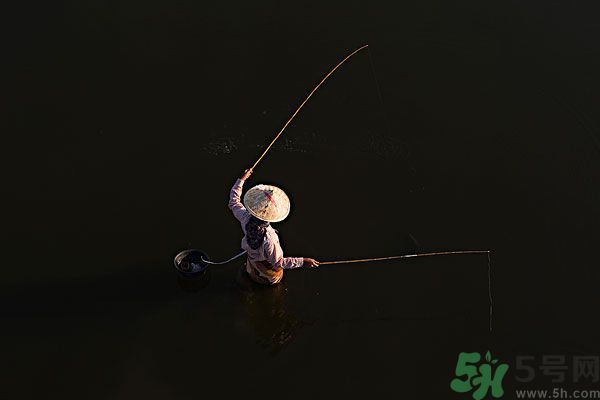 雷陣雨可以釣魚嗎？雷陣雨天氣適合釣魚嗎？