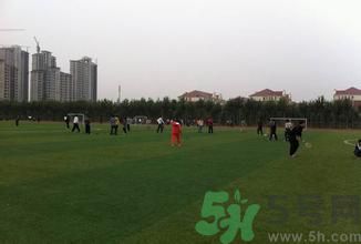 晚自習(xí)后跑步好嗎？下晚自習(xí)吃什么比較好？